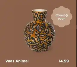 Xenos Vaas Animal aanbieding