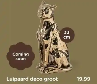 Xenos Luipaard deco groot aanbieding