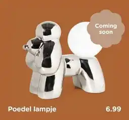 Xenos Poedel lampje aanbieding