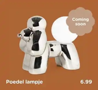 Xenos Poedel lampje aanbieding