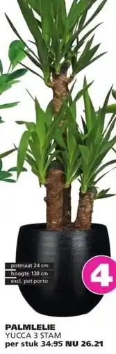 Ranzijn PALMLELIE YUCCA 3 STAM aanbieding