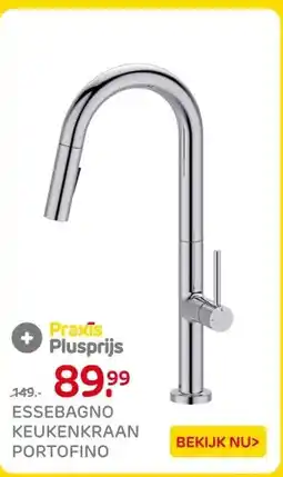 Praxis ESSEBAGNO KEUKENKRAAN PORTOFINO aanbieding