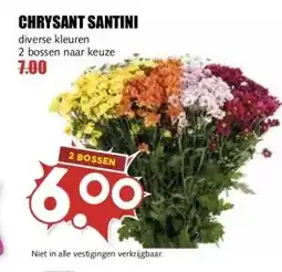 MCD Supermarkt CHRYSANT SANTINI aanbieding