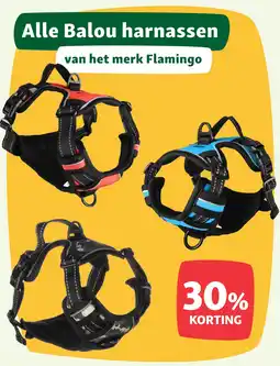 Maxi Zoo Alle Balou harnassen van het merk Flamingo aanbieding