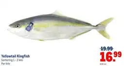 Makro Yellowtail Kingfish aanbieding
