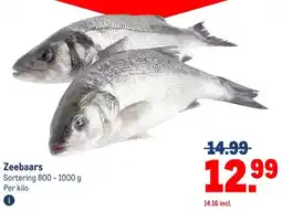 Makro Zeebaars aanbieding