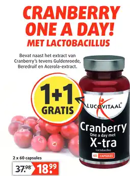 Lucovitaal CRANBERRY aanbieding
