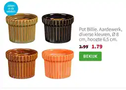 Intratuin Pot Billie aanbieding