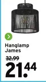 GAMMA Hanglamp James aanbieding
