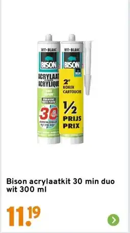 GAMMA Bison acrylaatkit 30 min duo wit 300 ml aanbieding