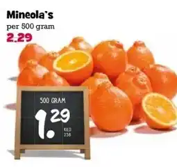 Boon`s Markt Mineola's aanbieding