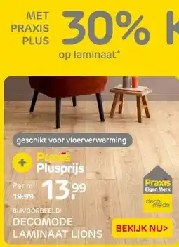 Praxis DECOMODE LAMINAAT LIONS aanbieding