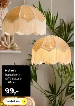 Lampidee Malacia aanbieding