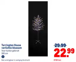 Makro Tarrington House verlichte bloesem aanbieding