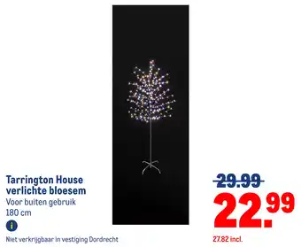 Makro Tarrington House verlichte bloesem aanbieding