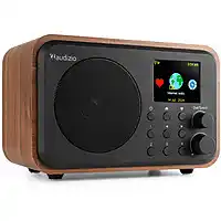 MediaMarkt AUDIZIO Vicenza dab en internet radio Bruin aanbieding