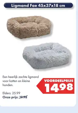 Huisdier Voordeelshop Ligmand Fae 45x37x18 cm aanbieding