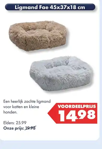 Huisdier Voordeelshop Ligmand Fae 45x37x18 cm aanbieding