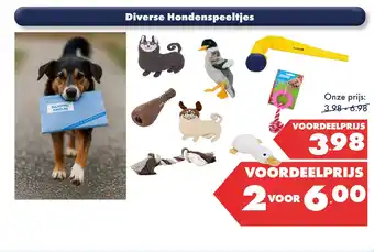 Huisdier Voordeelshop Diverse Hondenspeeltjes aanbieding
