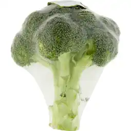Jumbo Jumbo Broccoli Biologisch 2 Personen aanbieding