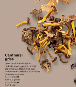 Sligro Cantharel grise aanbieding