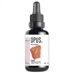Holland & Barrett Opus Chaga Mushroom - 30 ml aanbieding