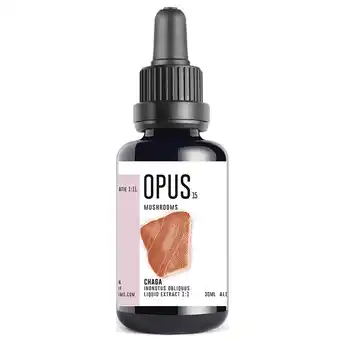 Holland & Barrett Opus Chaga Mushroom - 30 ml aanbieding