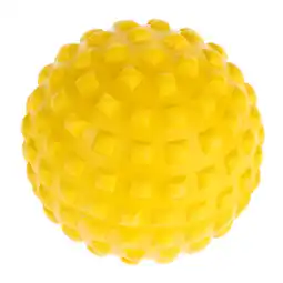 Zooplus Nomad Tales Bloom EVA spijkerbal Ca. Ø7cm hond aanbieding