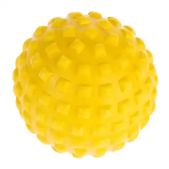 Zooplus Nomad Tales Bloom EVA spijkerbal Ca. Ø7cm hond aanbieding