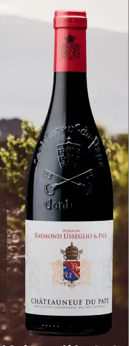 Sligro Raymond usseglio & fils Châteauneuf du Pape aanbieding