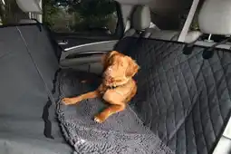 Welkoop Dirty Dog - Autodeken - Hond - Grijs aanbieding