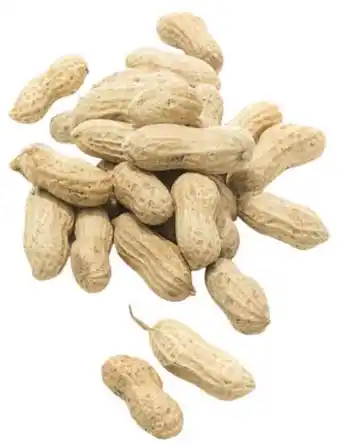 Welkoop Ongepelde Pinda's - Tuinvogelvoer - 10kg aanbieding