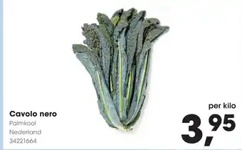 HANOS Cavolo nero aanbieding