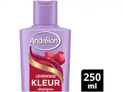 Hoogvliet Andrélon Shampoo levendig kleur aanbieding