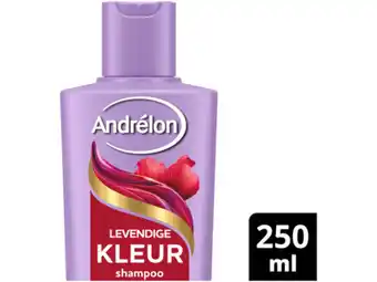 Hoogvliet Andrélon Shampoo levendig kleur aanbieding