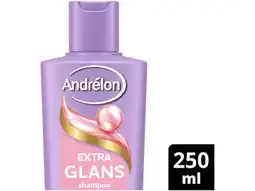 Hoogvliet Andrélon Shampoo extra glans aanbieding