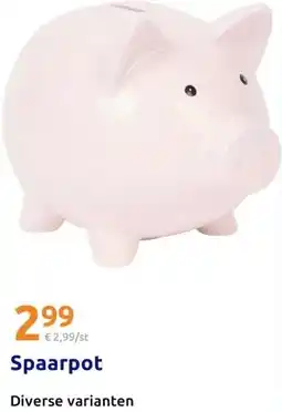 Action Spaarpot aanbieding