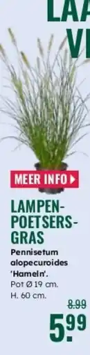 GroenRijk Lampen poetsers gras aanbieding