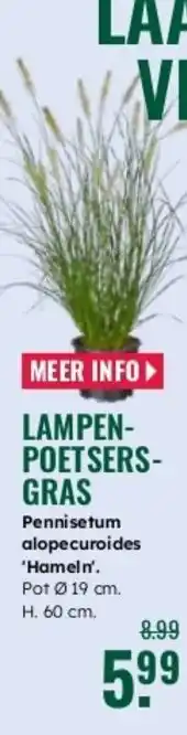 GroenRijk Lampen poetsers gras aanbieding