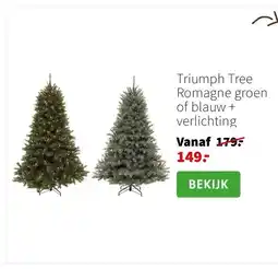 Intratuin Triumph Tree Romagne groen of blauw + verlichting aanbieding
