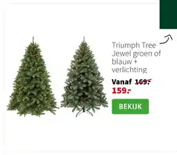 Intratuin Triumph Tree Jewel groen of blauw + verlichting aanbieding