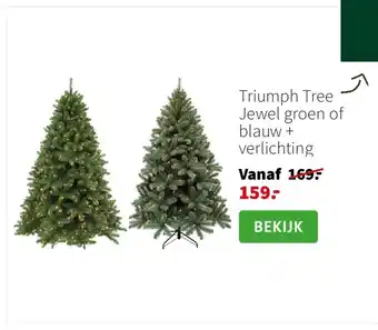 Intratuin Triumph Tree Jewel groen of blauw + verlichting aanbieding