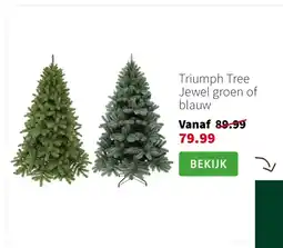 Intratuin Triumph Tree Jewel groen of blauw aanbieding