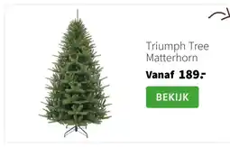 Intratuin Triumph Tree Matterhorn aanbieding