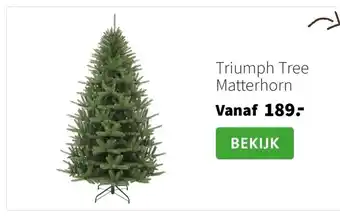 Intratuin Triumph Tree Matterhorn aanbieding