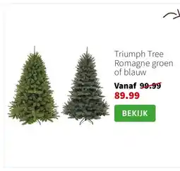 Intratuin Triumph Tree Romagne groen of blauw aanbieding