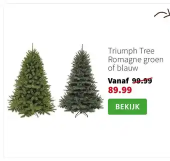 Intratuin Triumph Tree Romagne groen of blauw aanbieding