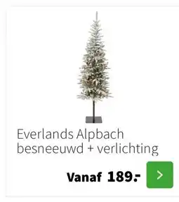 Intratuin Everlands Alpbach besneeuwd + verlichting aanbieding