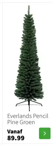 Intratuin Everlands Pencil Pine Groen aanbieding