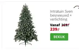 Intratuin Intratuin Sven besneeuwd + verlichting aanbieding